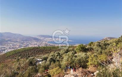 Yenifoça'da Yerleşime Yakın Konumda SatılıkTarla