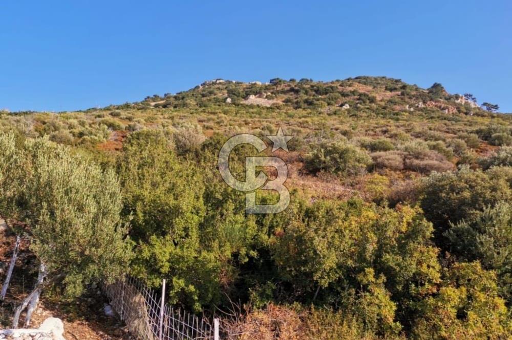 Yenifoça'da Yerleşime Yakın Konumda SatılıkTarla