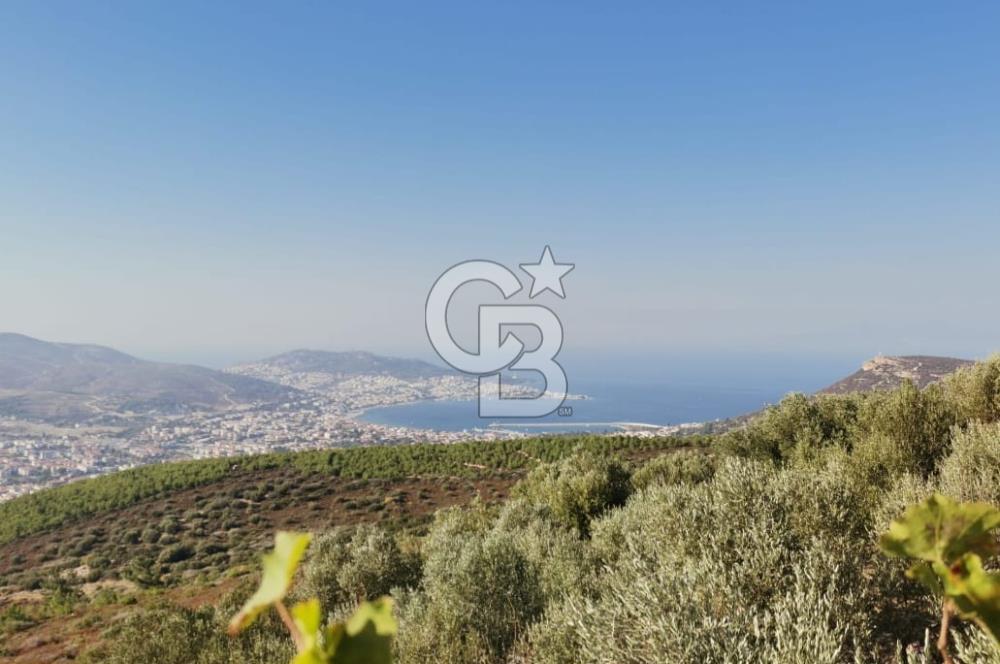 Yenifoça'da Yerleşime Yakın Konumda SatılıkTarla