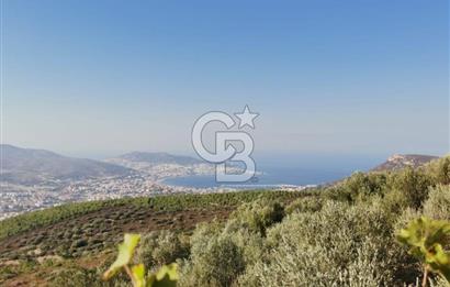 Yenifoça'da Yerleşime Yakın Konumda SatılıkTarla