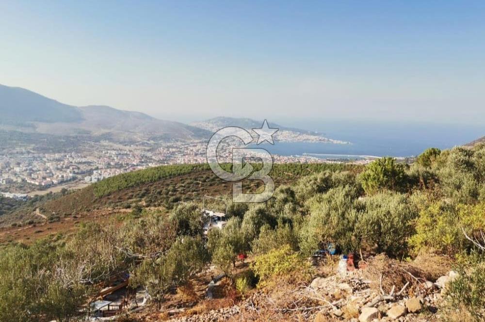 Yenifoça'da Yerleşime Yakın Konumda SatılıkTarla