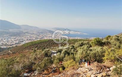 Yenifoça'da Yerleşime Yakın Konumda SatılıkTarla