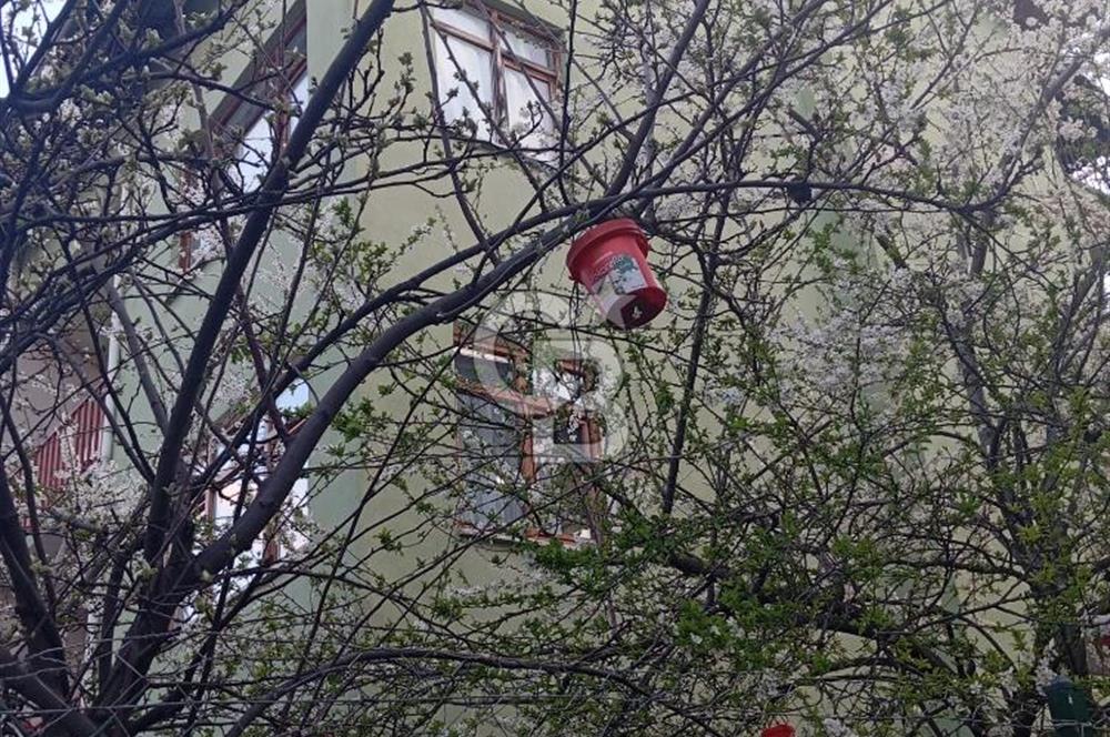 Kuzeykent'te Köşe Parsel 3 Katlı İkiz Villa Acil Satılık