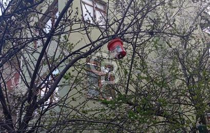 Kuzeykent'te Köşe Parsel 3 Katlı İkiz Villa Acil Satılık