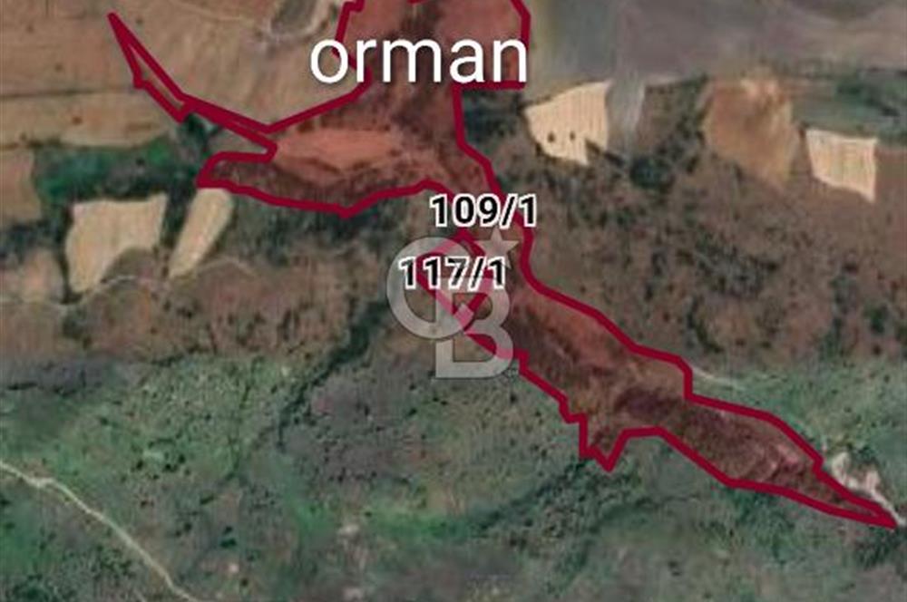 CB LEADER'DAN ALTIEYLÜL-KARAKAYA'DA MUHTEŞEM YATIRIM FIRSATI 