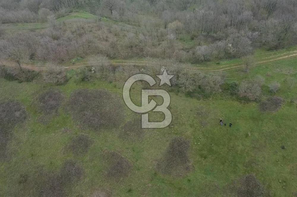 Manyas'ta Ruhsatlı, Projeli, İnşaata Hazır 15 Dönüm Çiftlik