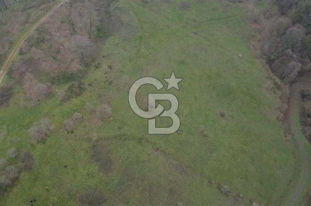 Manyas'ta Ruhsatlı, Projeli, İnşaata Hazır 15 Dönüm Çiftlik