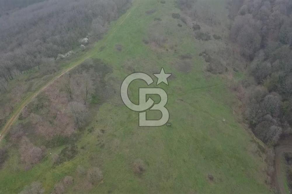 Manyas'ta Ruhsatlı, Projeli, İnşaata Hazır 15 Dönüm Çiftlik