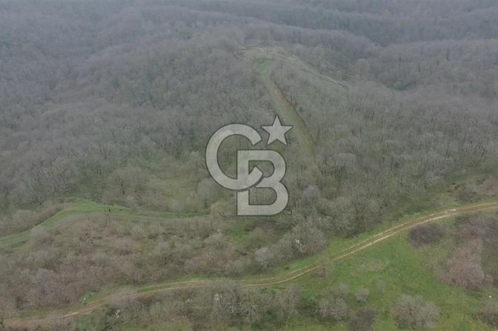 Manyas'ta Ruhsatlı, Projeli, İnşaata Hazır 15 Dönüm Çiftlik