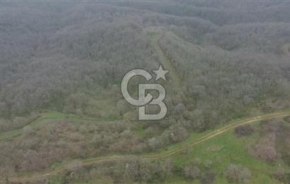 Manyas'ta Ruhsatlı, Projeli, İnşaata Hazır 15 Dönüm Çiftlik