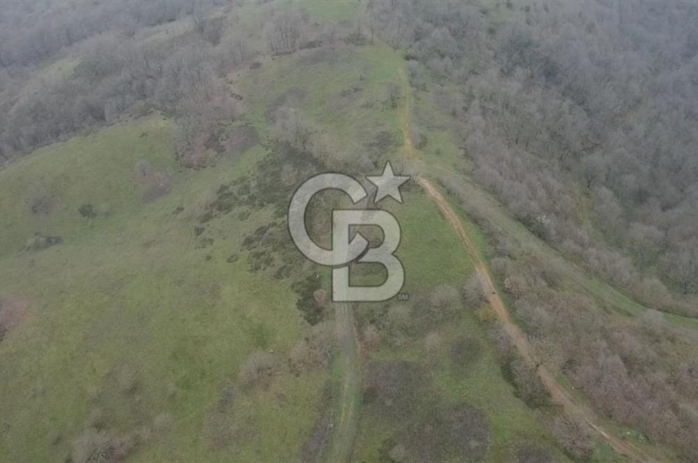 Manyas'ta Ruhsatlı, Projeli, İnşaata Hazır 15 Dönüm Çiftlik