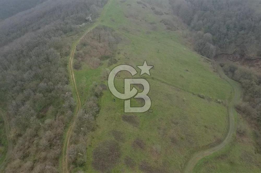 Manyas'ta Ruhsatlı, Projeli, İnşaata Hazır 15 Dönüm Çiftlik