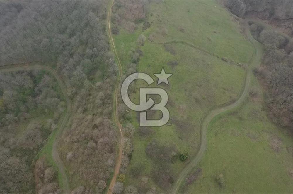 Manyas'ta Ruhsatlı, Projeli, İnşaata Hazır 15 Dönüm Çiftlik