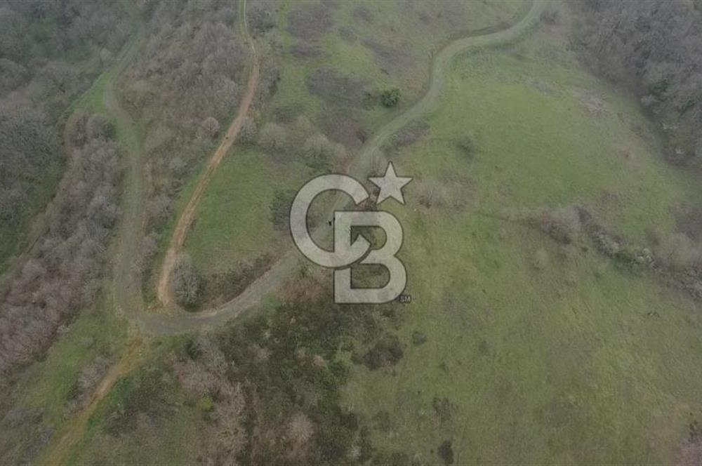 Manyas'ta Ruhsatlı, Projeli, İnşaata Hazır 15 Dönüm Çiftlik