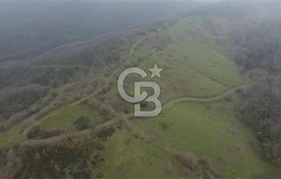 Manyas'ta Ruhsatlı, Projeli, İnşaata Hazır 15 Dönüm Çiftlik