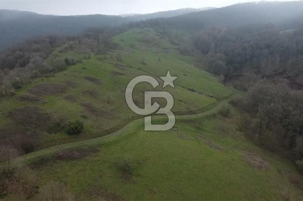 Manyas'ta Ruhsatlı, Projeli, İnşaata Hazır 15 Dönüm Çiftlik