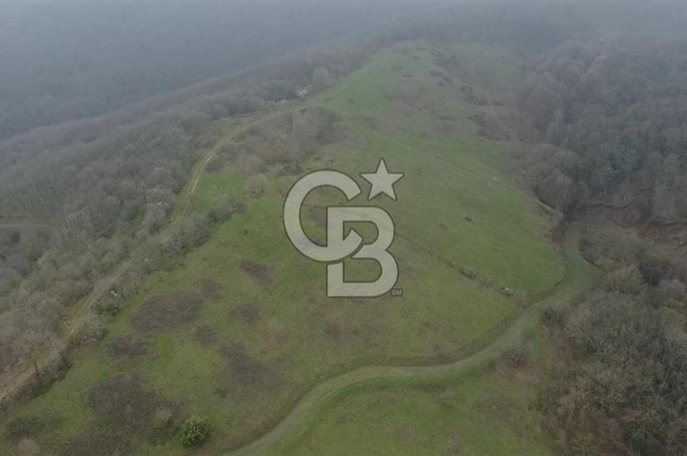 Manyas'ta Ruhsatlı, Projeli, İnşaata Hazır 15 Dönüm Çiftlik