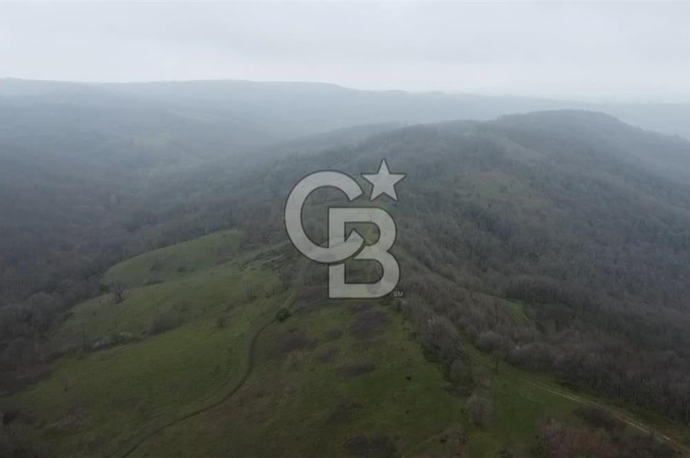 Manyas'ta Ruhsatlı, Projeli, İnşaata Hazır 15 Dönüm Çiftlik