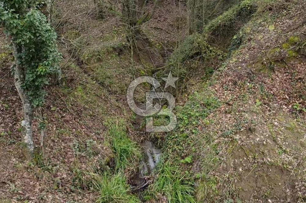 Manyas'ta Ruhsatlı, Projeli, İnşaata Hazır 15 Dönüm Çiftlik