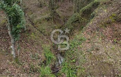 Manyas'ta Ruhsatlı, Projeli, İnşaata Hazır 15 Dönüm Çiftlik