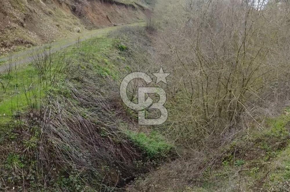 Manyas'ta Ruhsatlı, Projeli, İnşaata Hazır 15 Dönüm Çiftlik