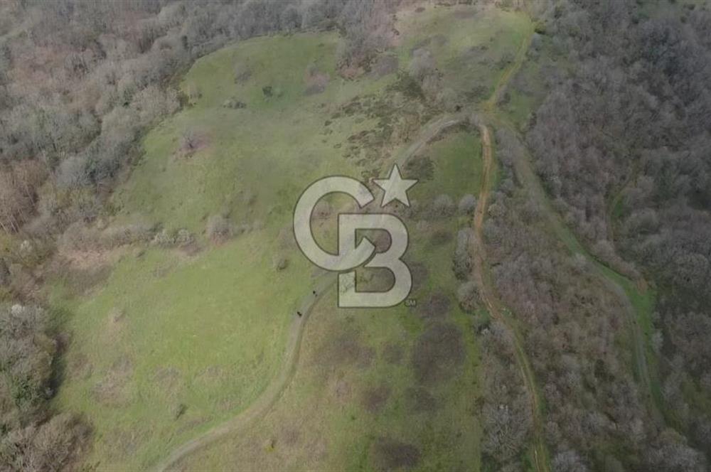 Manyas'ta Ruhsatlı, Projeli, İnşaata Hazır 15 Dönüm Çiftlik