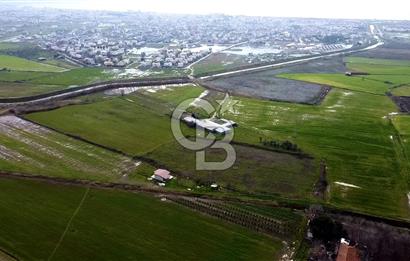 urla Altıntaş da satılık tarla