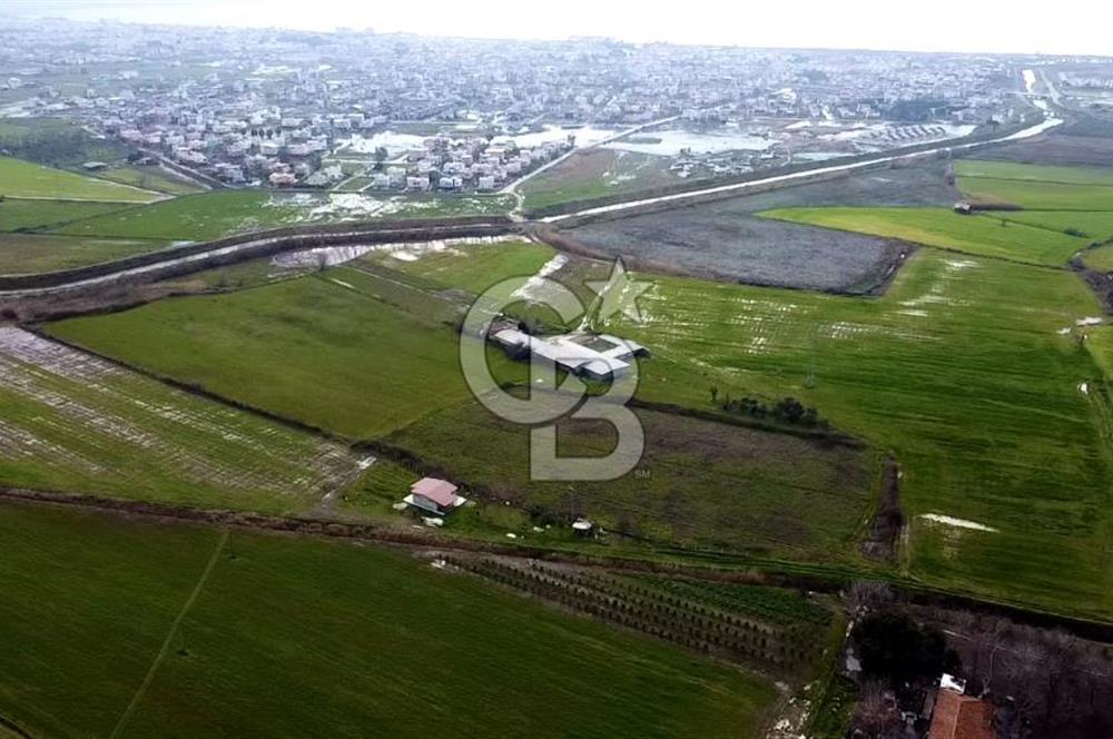 urla Altıntaş da satılık tarla