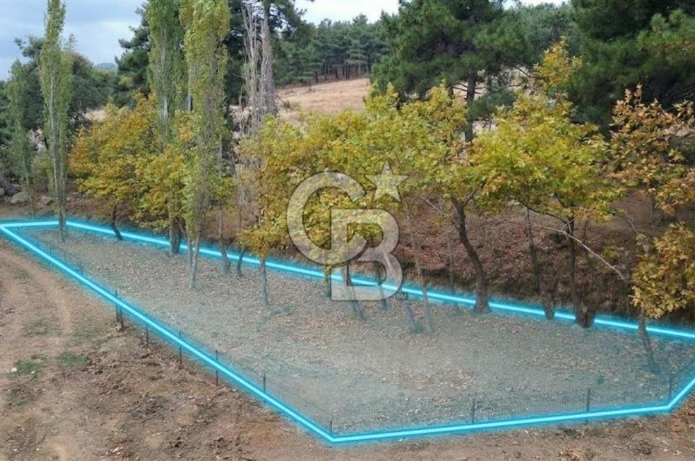 ÇANAKKALE BAYRAMİÇ KARINCALIK KÖYÜ 500 M2 TARLA