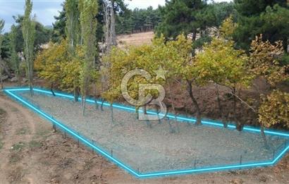 ÇANAKKALE BAYRAMİÇ KARINCALIK KÖYÜ 500 M2 TARLA