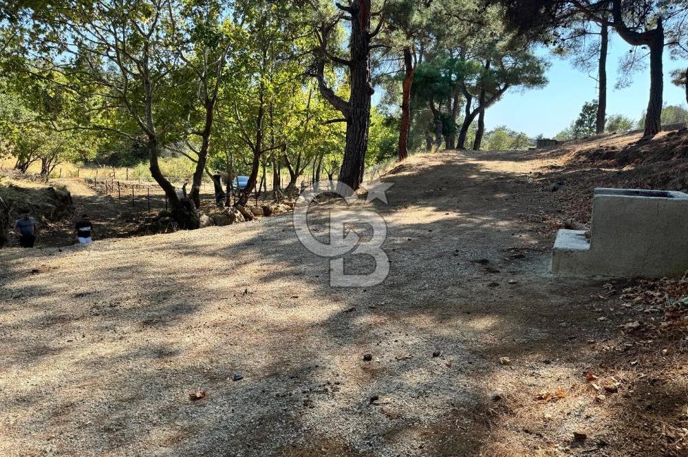 ÇANAKKALE BAYRAMİÇ KARINCALIK KÖYÜ 500 M2 TARLA