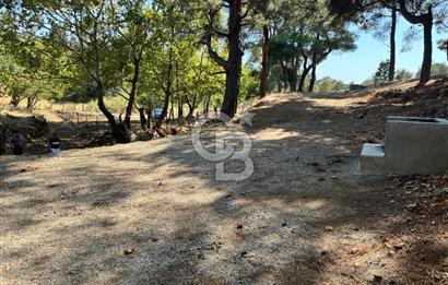 ÇANAKKALE BAYRAMİÇ KARINCALIK KÖYÜ 500 M2 TARLA