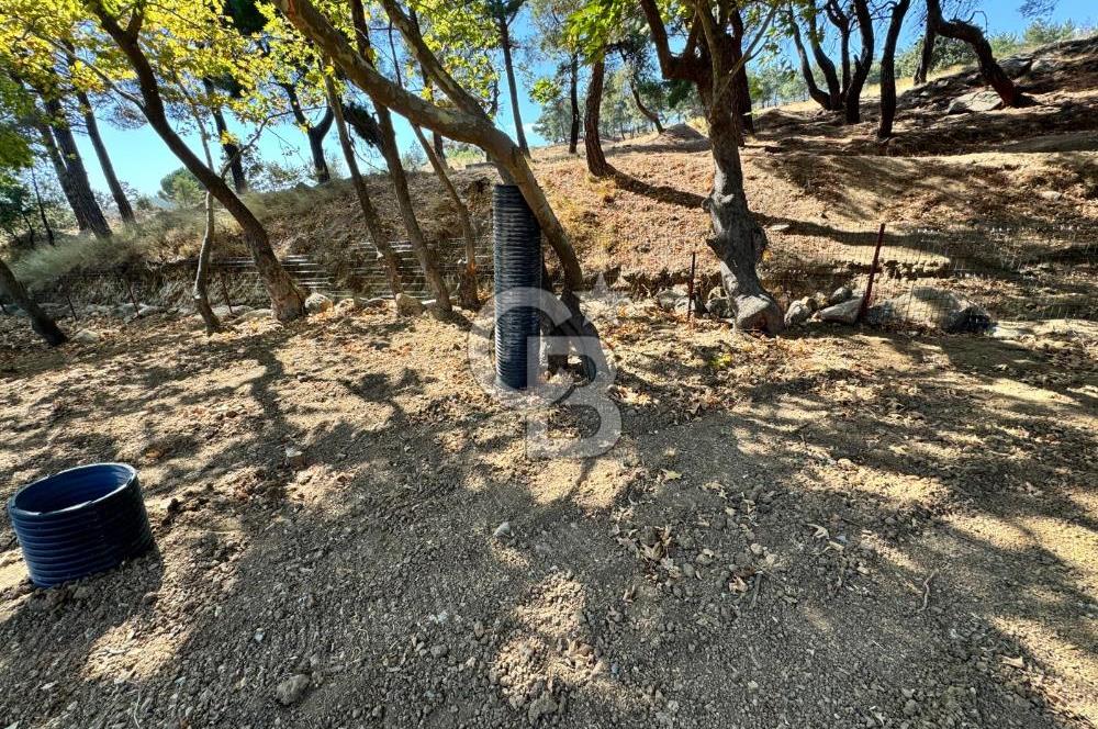 ÇANAKKALE BAYRAMİÇ KARINCALIK KÖYÜ 500 M2 TARLA