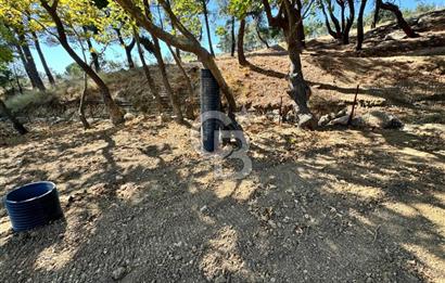 ÇANAKKALE BAYRAMİÇ KARINCALIK KÖYÜ 500 M2 TARLA