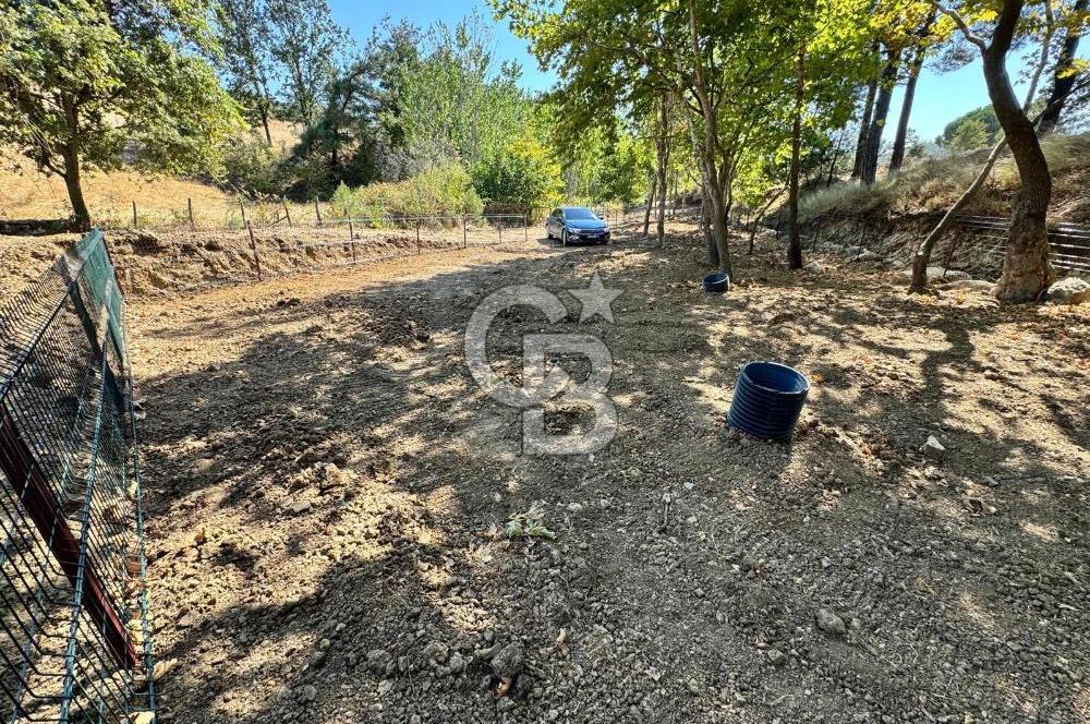 ÇANAKKALE BAYRAMİÇ KARINCALIK KÖYÜ 500 M2 TARLA