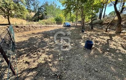 ÇANAKKALE BAYRAMİÇ KARINCALIK KÖYÜ 500 M2 TARLA