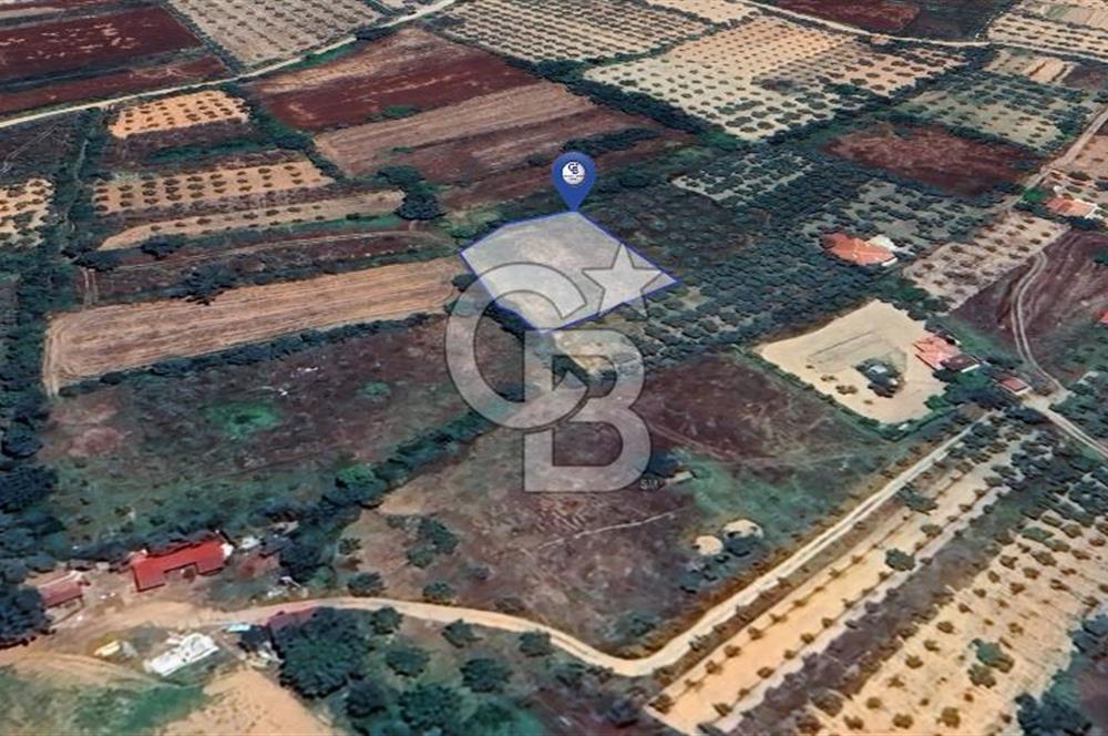 Muğla Menteşe Akkaya Satılık 1453 m² Tarla 