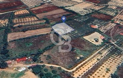 Muğla Menteşe Akkaya Satılık 1453 m² Tarla 