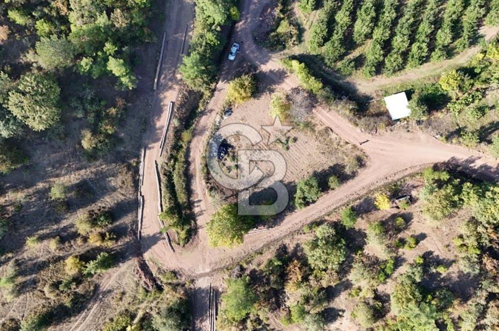 ÇANAKKALE BAYRAMİÇ KARAKÖY DE SATILIK 460 M2 FIRSAT BAHÇE