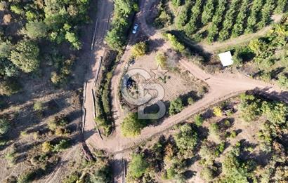 ÇANAKKALE BAYRAMİÇ KARAKÖY DE SATILIK 460 M2 FIRSAT BAHÇE