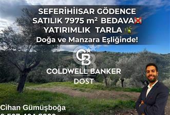 SEFERİHİSAR/GÖDENCE SATILIK ZEYTİNLİK - 11 - 342711