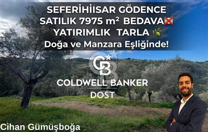 SEFERİHİSAR/GÖDENCE SATILIK ZEYTİNLİK