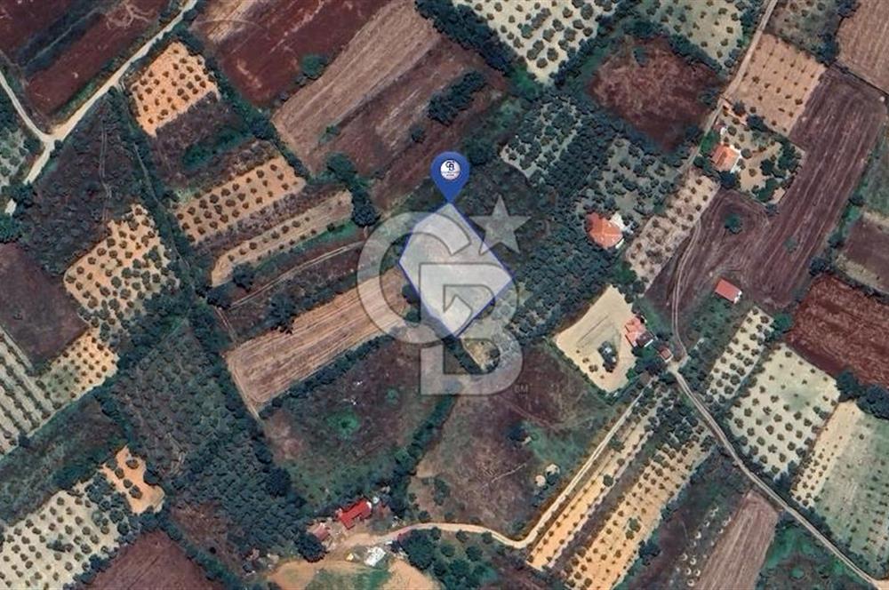 Muğla Menteşe Akkaya Satılık 1453 m² Tarla 