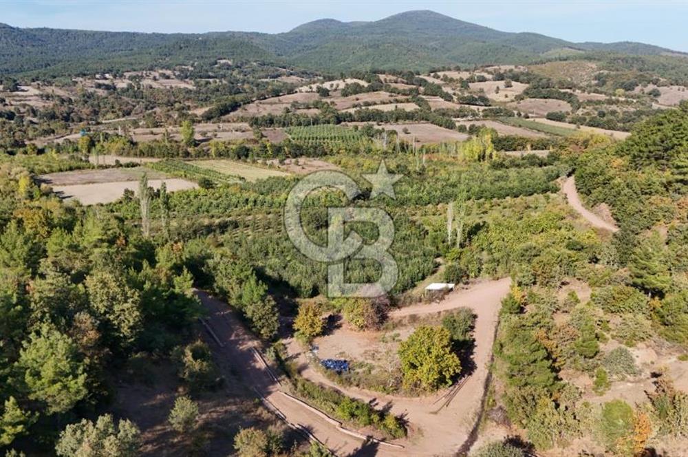 ÇANAKKALE BAYRAMİÇ KARAKÖY DE SATILIK 460 M2 FIRSAT BAHÇE