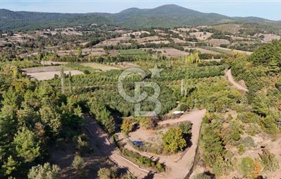 ÇANAKKALE BAYRAMİÇ KARAKÖY DE SATILIK 460 M2 FIRSAT BAHÇE