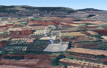 Muğla Menteşe Akkaya Satılık 1453 m² Tarla 