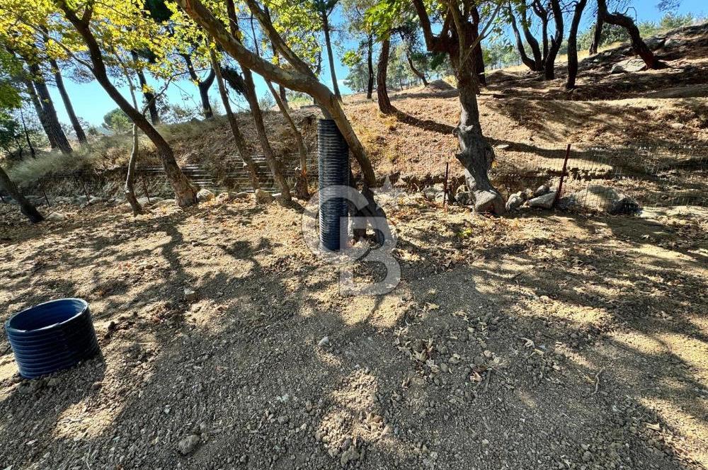 ÇANAKKALE BAYRAMİÇ KARINCALIK KÖYÜ 500 M2 TARLA