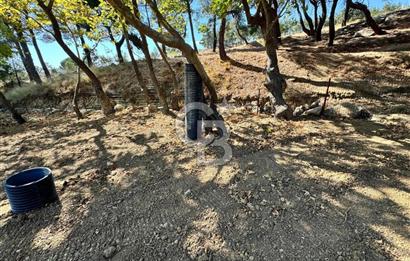 ÇANAKKALE BAYRAMİÇ KARINCALIK KÖYÜ 500 M2 TARLA