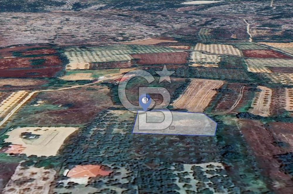 Muğla Menteşe Akkaya Satılık 1453 m² Tarla 