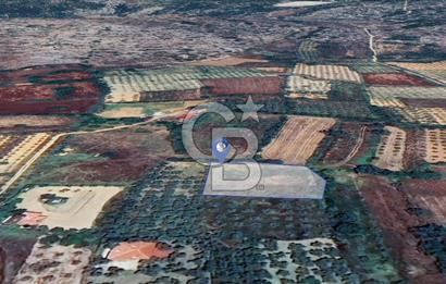Muğla Menteşe Akkaya Satılık 1453 m² Tarla 